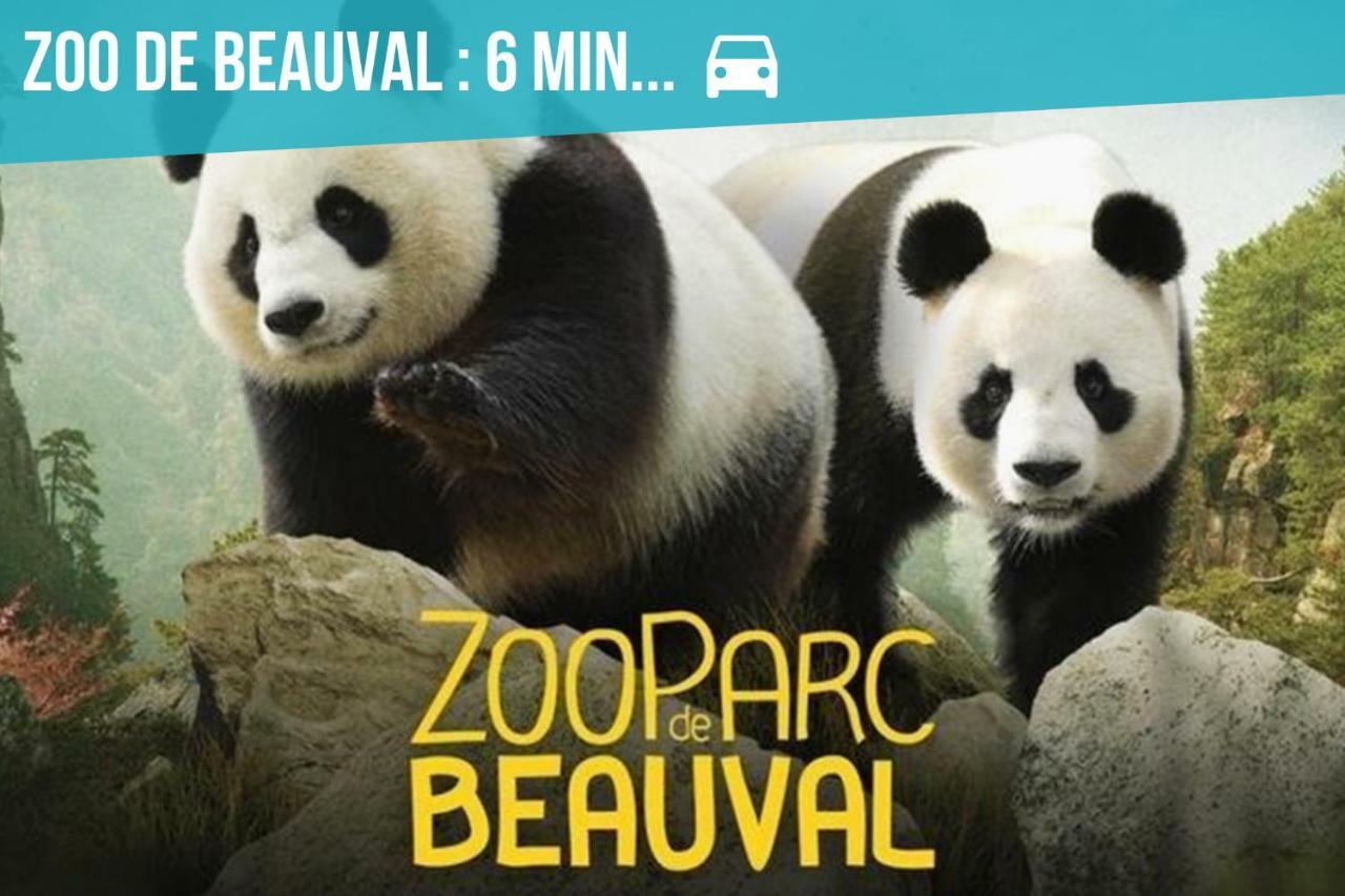 Gite L'Echappee Belle ! Saint-Aignan  Zewnętrze zdjęcie